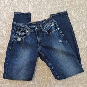 Silver Jeans Co. Boyfriend Mid-Rise Slim Leg Jeans